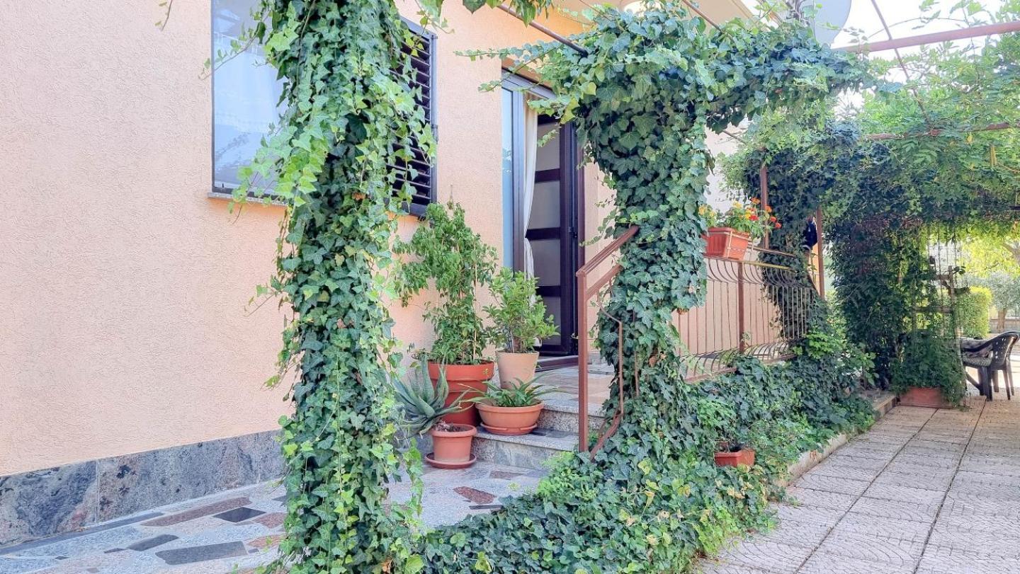 Apartments Maria Novigrad Istria Exterior foto